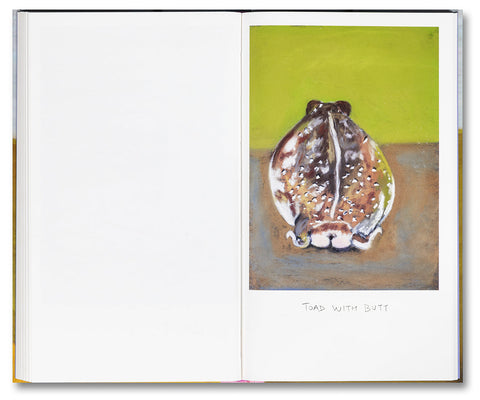 Things Felt But Not Quite Expressed - MACK