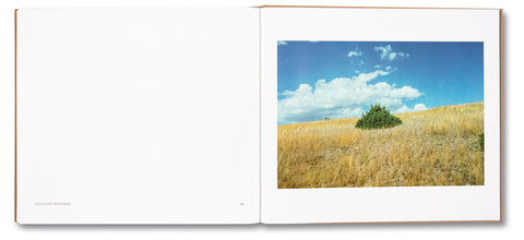 Topographies: Aerial Surveys of the American Landscape - MACK