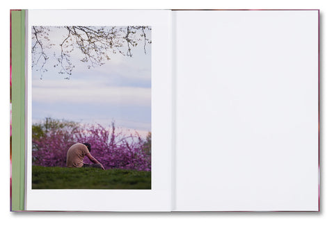 Verdigris / Ambergris - MACK