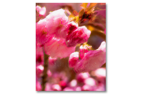 Verdigris / Ambergris - MACK