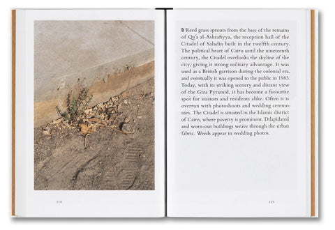 Weeds: A Germinating Theory - MACK