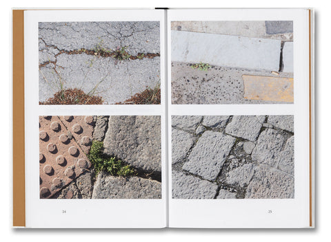 Weeds: A Germinating Theory