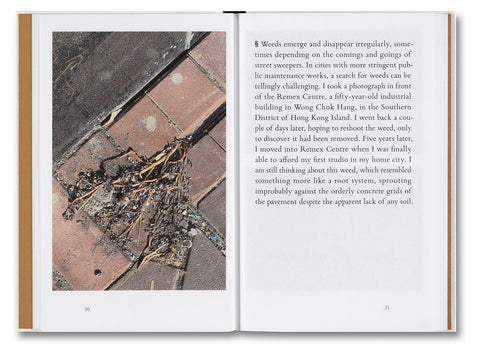 Weeds: A Germinating Theory - MACK