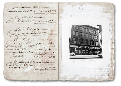 The Artist's Books Special Edition - MACK