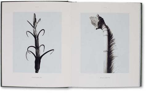 The Photography of Nature & The Nature of Photography  Joan Fontcuberta - MACK