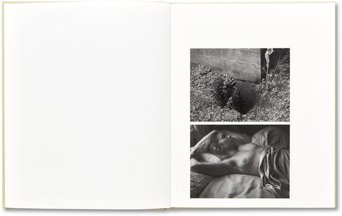 ciprian honey cathedral - MACK