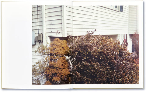 ciprian honey cathedral - MACK