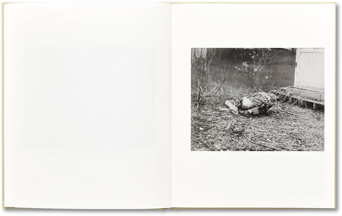 ciprian honey cathedral - MACK