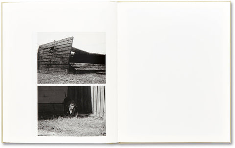 ciprian honey cathedral - MACK