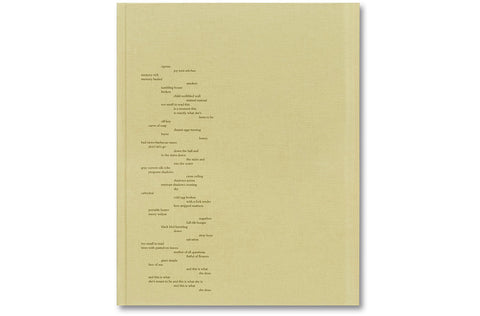 ciprian honey cathedral / errata special edition - MACK