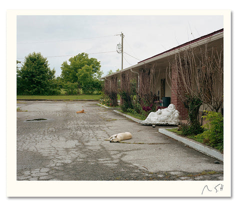 MACK Special Edition "A Pound of Pictures" print, featuring artistic imagery in a creative, limited edition design.