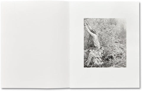 ciprian honey cathedral / errata special edition - MACK