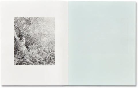 ciprian honey cathedral / errata special edition - MACK