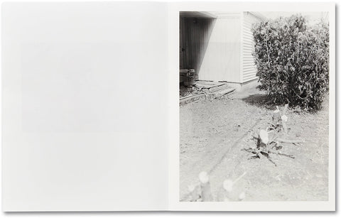 ciprian honey cathedral / errata special edition - MACK