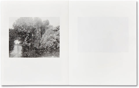 ciprian honey cathedral / errata special edition - MACK