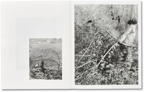 ciprian honey cathedral / errata special edition - MACK