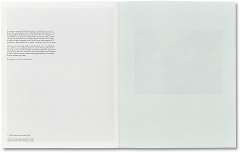 ciprian honey cathedral / errata special edition - MACK