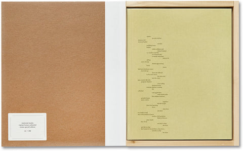 ciprian honey cathedral / errata special edition - MACK