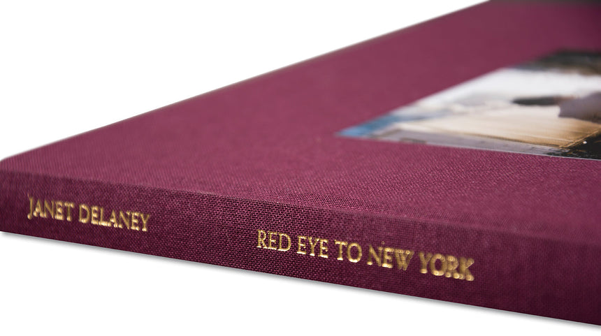 Red Eye to New York <br> Janet Delaney