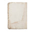 The Artist's Books Special Edition <br> Francesca Woodman