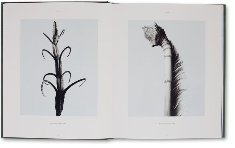 The Photography of Nature & The Nature of Photography <br> Joan Fontcuberta - MACK